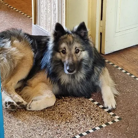 Homestay Les Chez David *