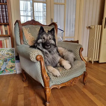 Homestay Les Chez David Riom