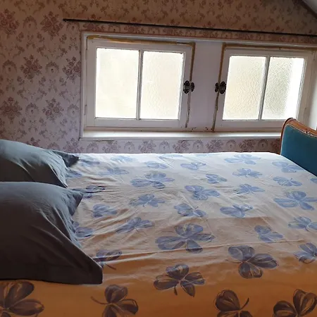 Les Chez David 리옴